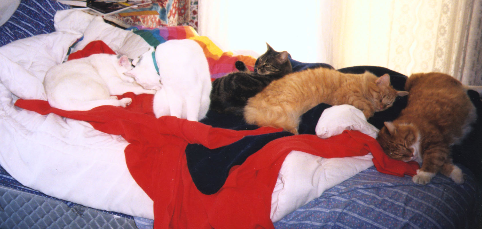 cats on bed; Actual size=130 pixels wide